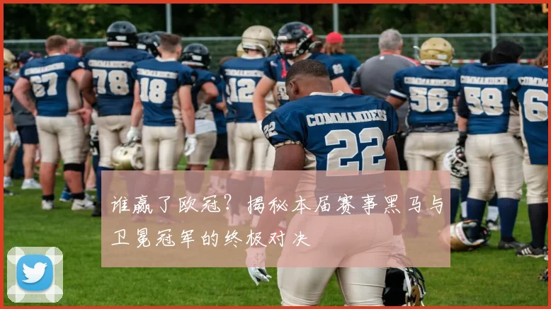 谁赢了欧冠？揭秘本届赛事黑马与卫冕冠军的终极对决