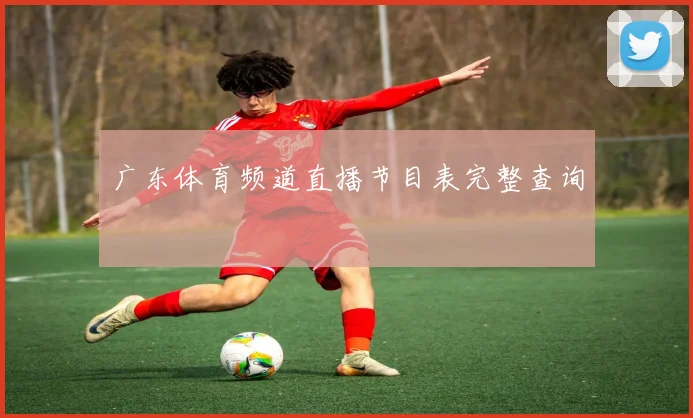 广东体育频道直播节目表完整查询