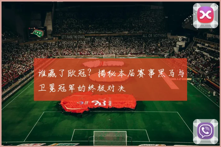 谁赢了欧冠？揭秘本届赛事黑马与卫冕冠军的终极对决