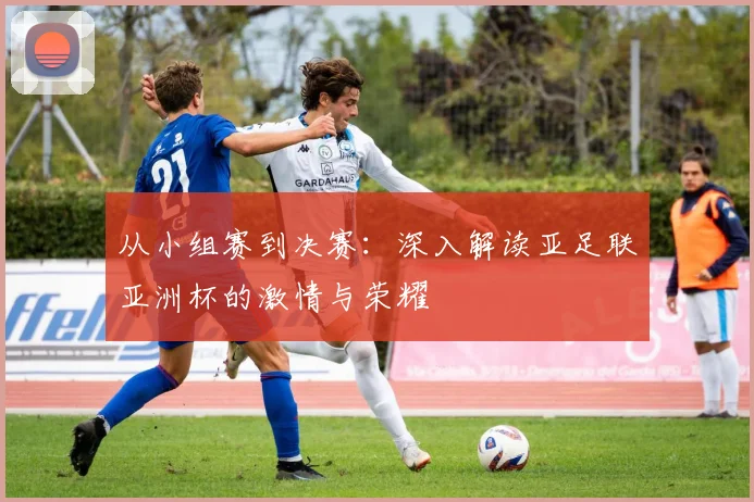 从小组赛到决赛：深入解读亚足联亚洲杯的激情与荣耀