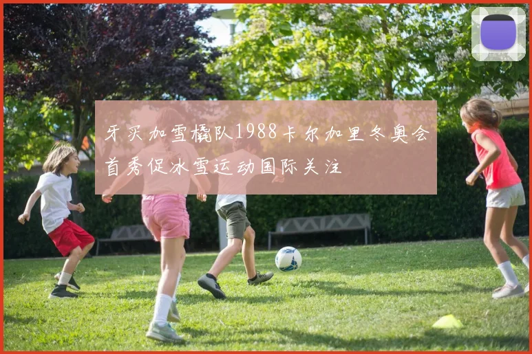 牙买加雪橇队1988卡尔加里冬奥会首秀促冰雪运动国际关注