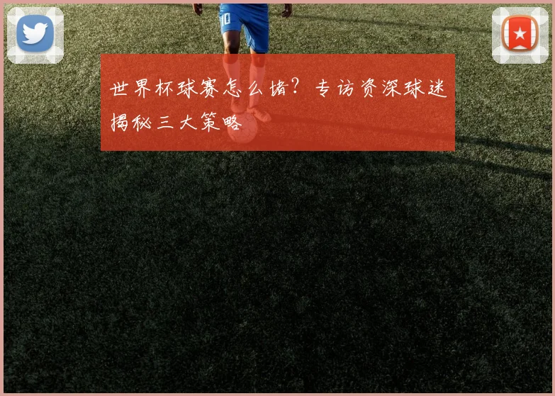 世界杯球赛怎么堵?专访资深球迷揭秘三大策略