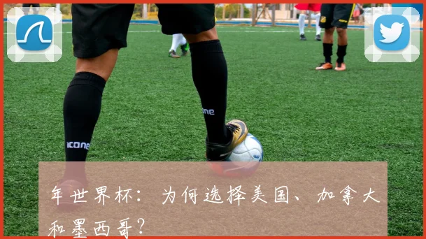 年世界杯:为何选择美国、加拿大和墨西哥?