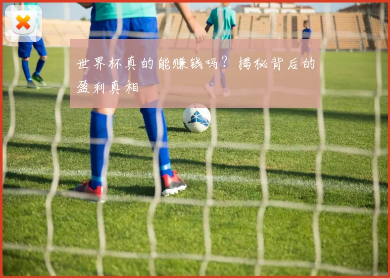 世界杯真的能赚钱吗？揭秘背后的盈利真相
