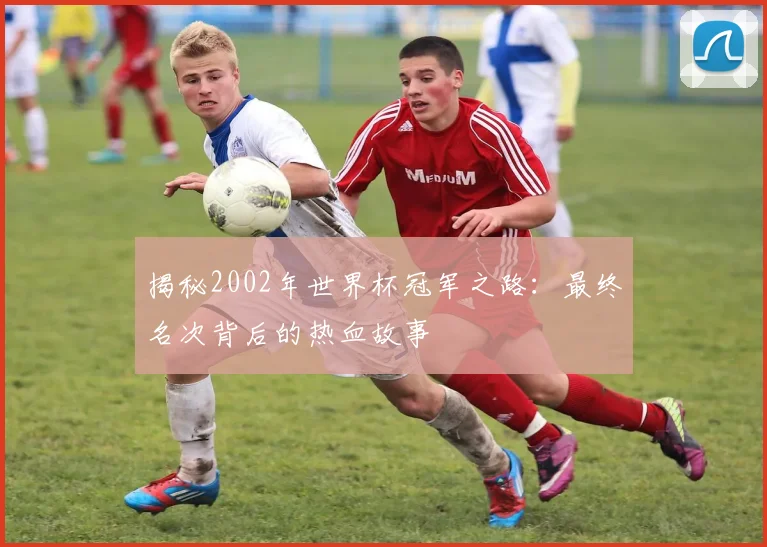 揭秘2002年世界杯冠军之路：最终名次背后的热血故事
