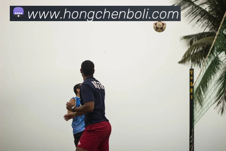 米兰体育在线登陆入口服务体系